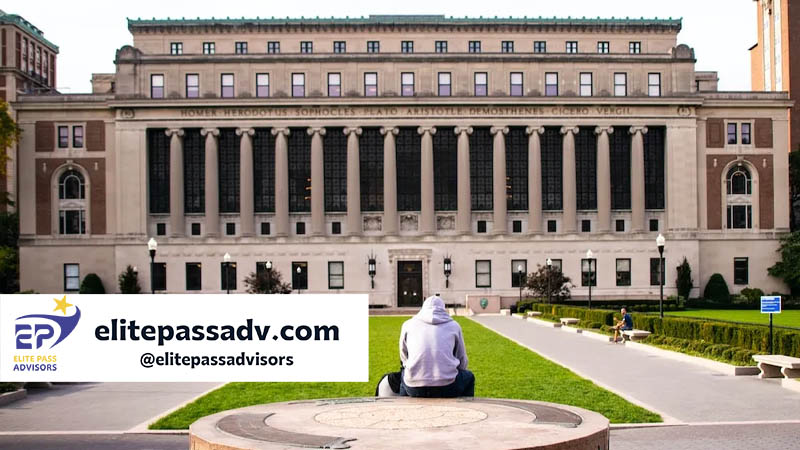 دانشگاه نیویورک آمریکا 2 دانشکدههای دانشگاه نیویورک آمریکا