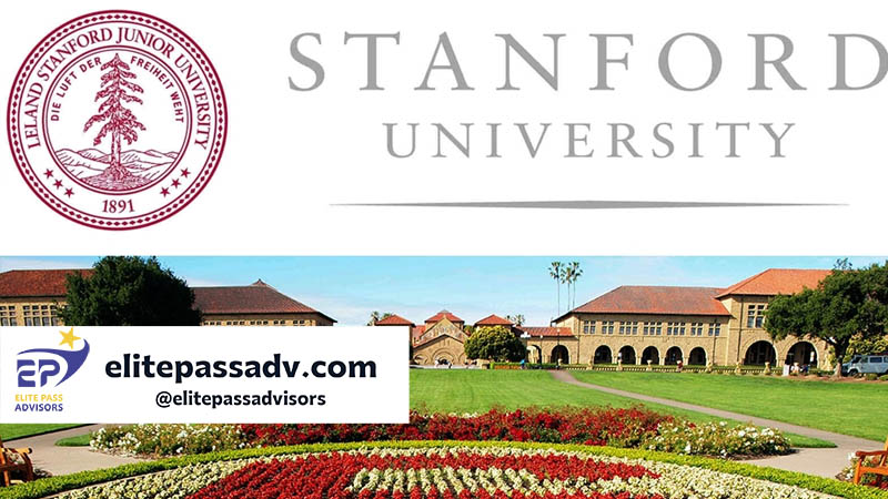 دانشگاه استنفورد آمریکا 2 دانشکدههای دانشگاه استنفورد آمریکا