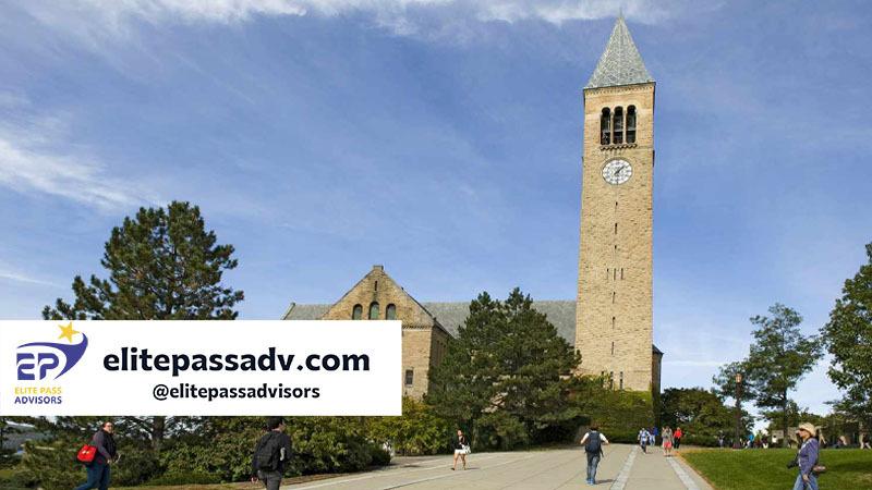 بورسیه‌های دانشگاه کرنل آمریکا