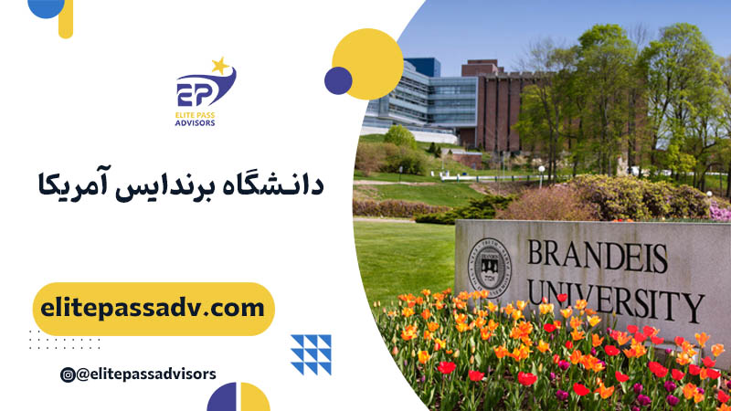 دانشگاه برندایس آمریکا