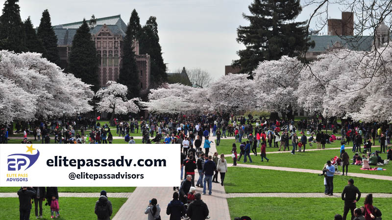 دانشگاه واشنگتن آمریکا 3 دانشکدهها و رشتههای دانشگاه واشنگتن آمریکا