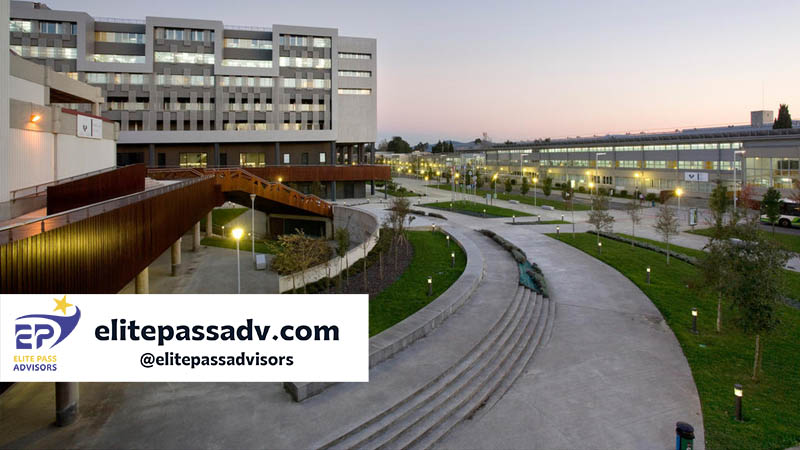 دانشگاه باسک کانتری اسپانیا 2 معرفی دانشگاه باسک کانتری اسپانیا