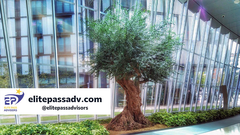 دانشگاه باسک کانتری اسپانیا 4 تجربه دانشجویی در دانشگاه باسک کانتری